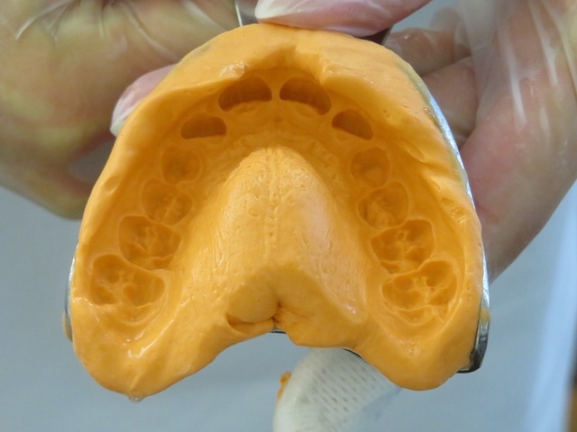 ortodont